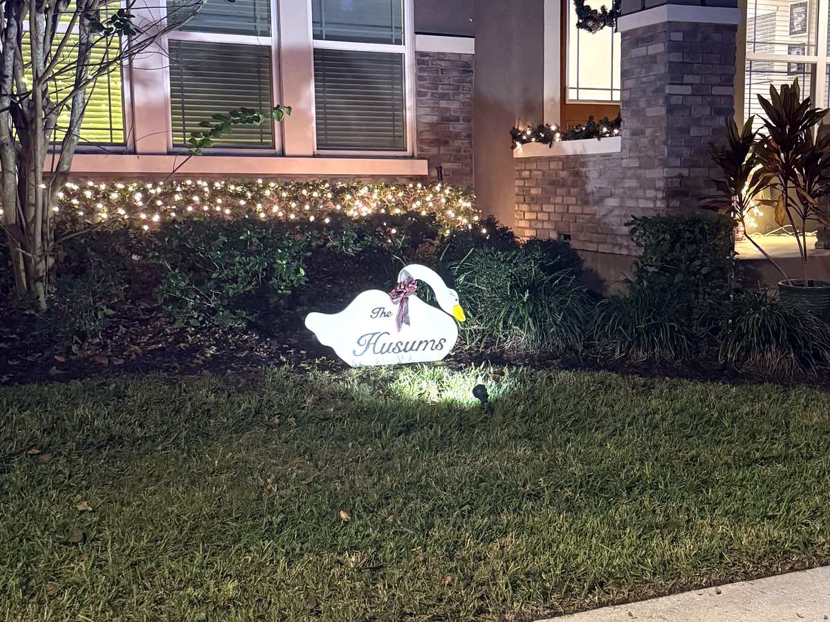 A Christmas goose lit up in a front yard at night